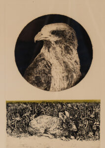 The Hare and Hawk by Coughlin is a black-and-white print featuring two animal studies arranged vertically. At the top, a detailed hawk is shown in profile inside a dark circular background, its sharp beak and textured feathers rendered with fine etched lines. Below, a hare crouches low among dense grasses and plants, partially concealed within the landscape. The composition contrasts the watchful bird of prey above with the vulnerable rabbit below, creating a quiet sense of tension and observation.